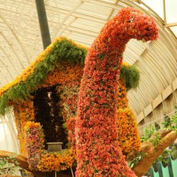 Lalbagh Independence Day Flower Show (August 2012)